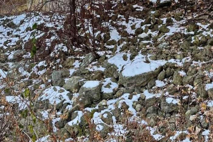 Let's See If You Can Spot The Squirrel in This Viral Picture Puzzle