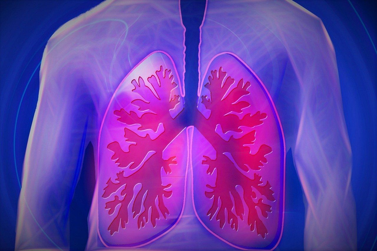 Scientists Have Discovered a New Part of The Body Hiding in The Lungs