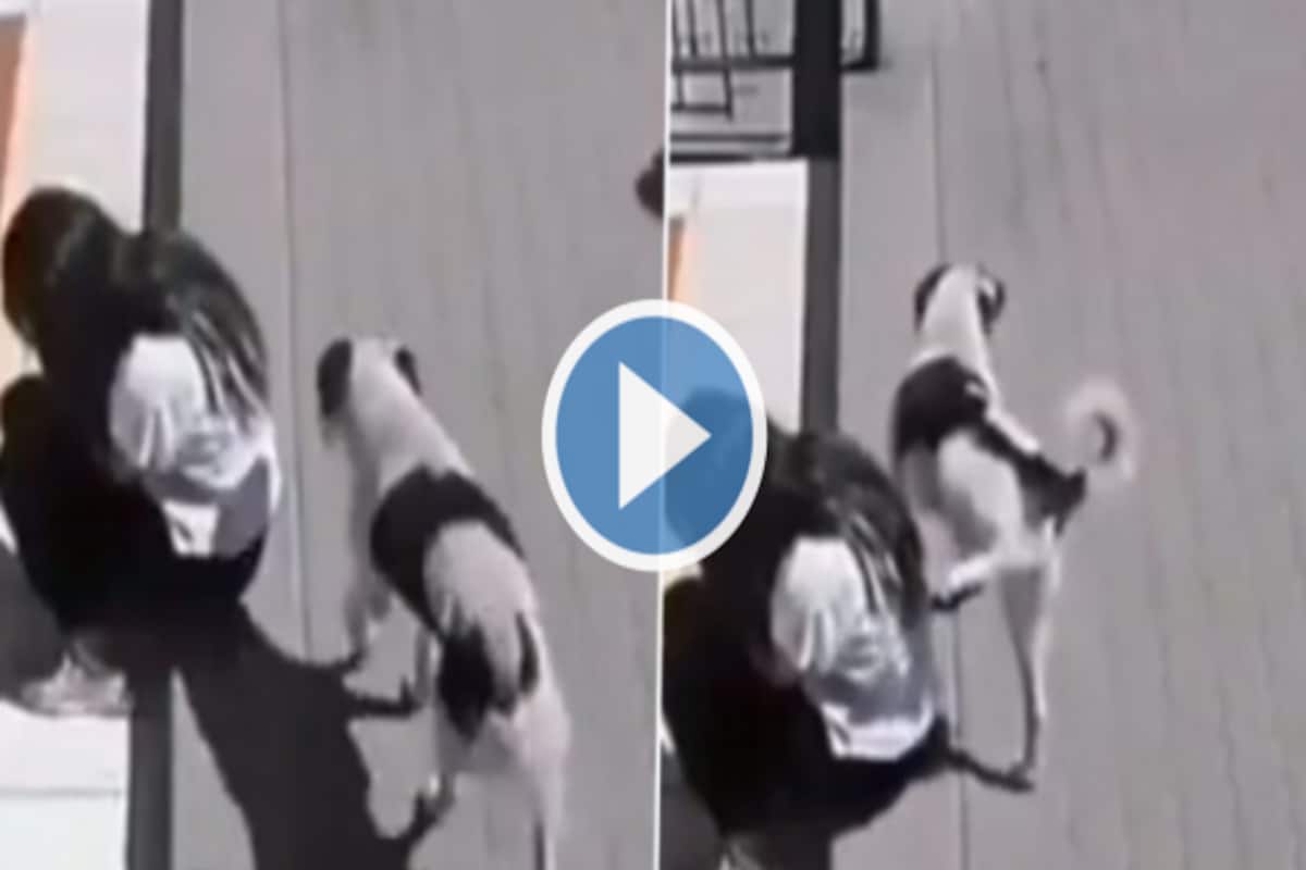 Stray Dog Pees On Sad Girl & Casually Walks Away, Video Too Funny to Miss |  Watch
