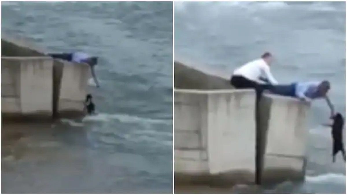 Viral Video Man Leaves Wedding To Save Dog From Drowning Internet