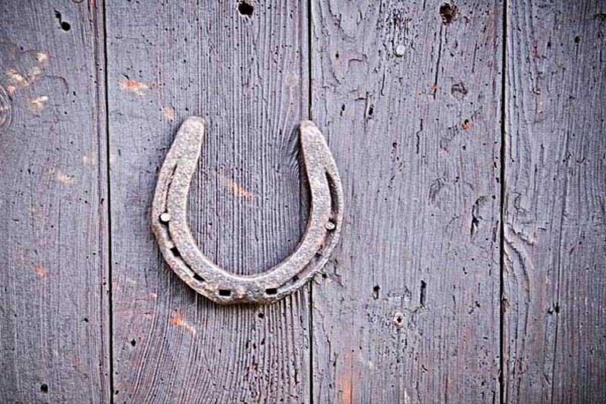 Horseshoe Benefits : घराच्या