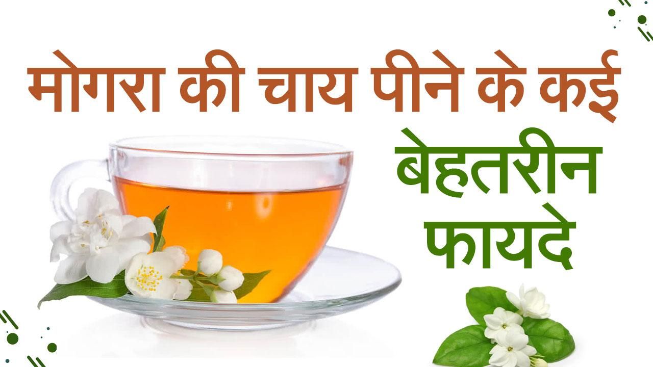 Mogy Tea वीडियो: मोगरा की चाय पीने के हैं कई बेहतरीन फायदे, आज ही डाइट में शामिल ...