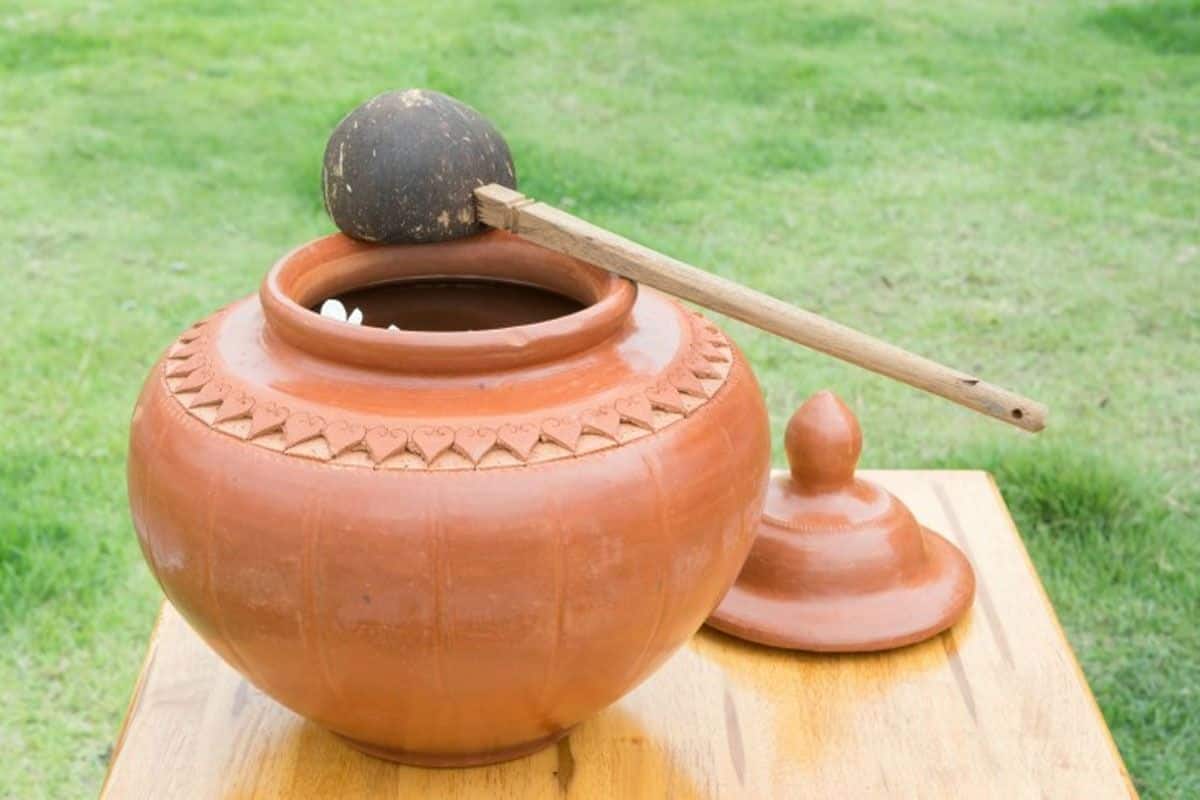Matke Ka Pani: 5 Magical Health Benefits of Drinking Water From Earthen Clay Pot