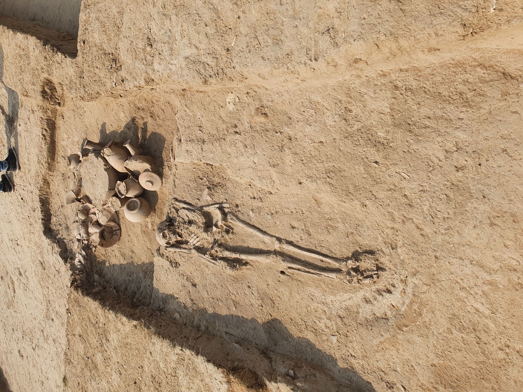 5000-Year-Old Jewellery Making Factory Discovered In Millennia-Old Harappan City In Haryana's Rakhigarhi | Pics Inside