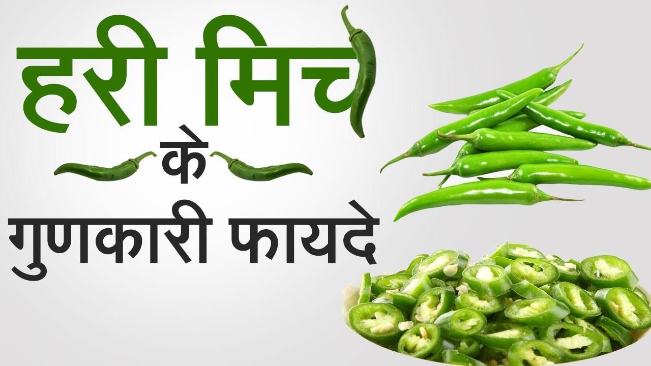 Green Chilli Benefits रोज़ाना खाएं हरी मिर्च, मिलेंगे यह बेमिसाल फायदे