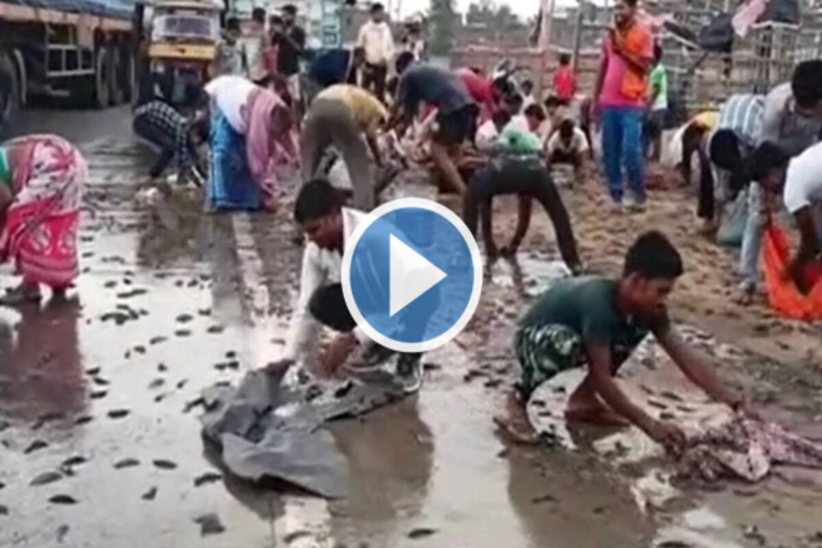 Viral Video: People Loot Fish That Fell From Truck in Bihar, Collect It in  Buckets & Clothes | Watch