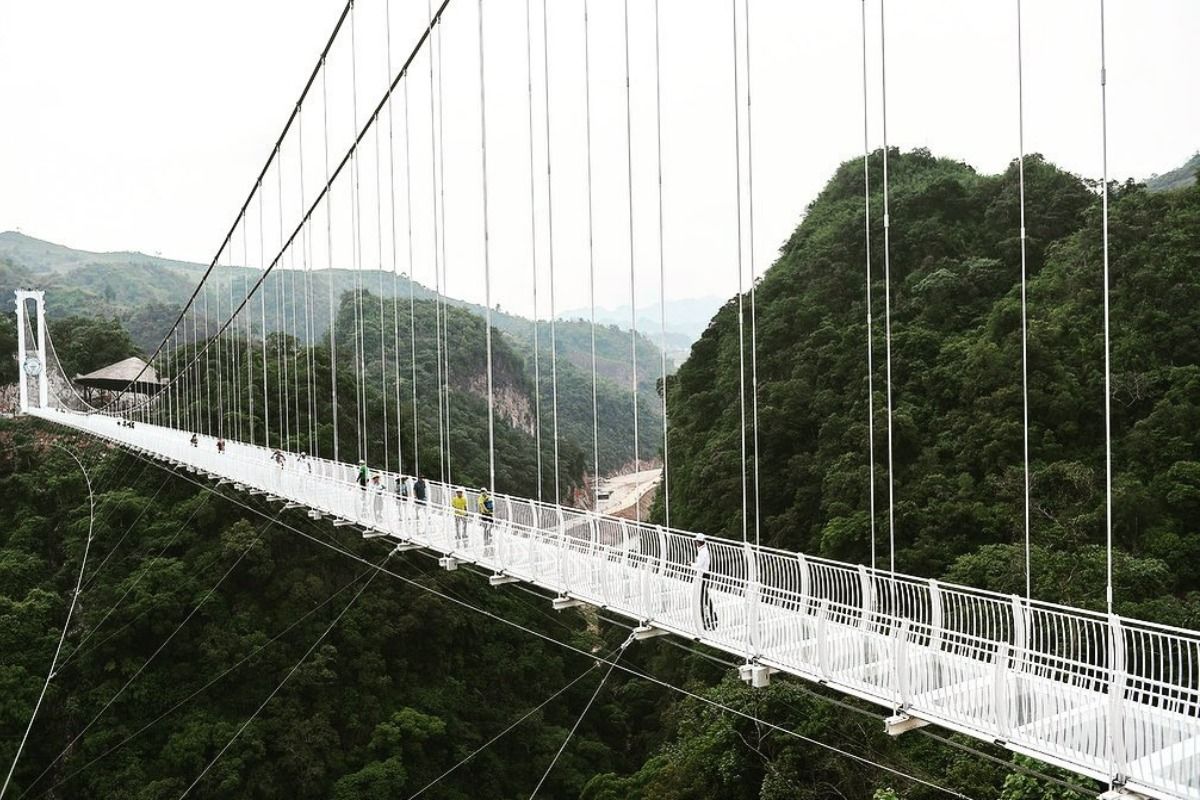 Worlds Longest Glass Bridge Opens in Vietnam as Country Goes Back to Attracting Tourists After COVID