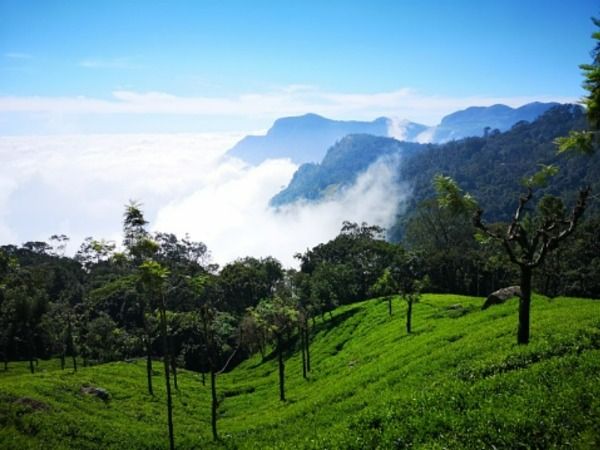 Coonoor