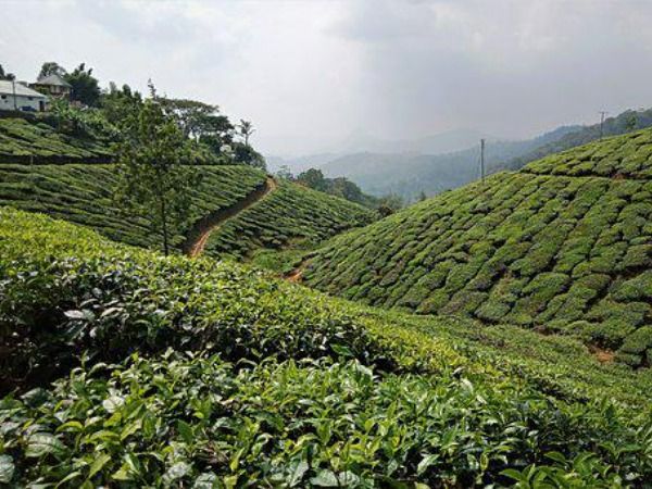 Munnar