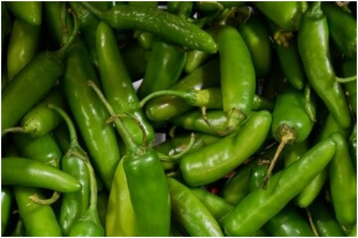 5 Unbelievable Benefits of Green Chili: Why Hari Mirch is More Than ...