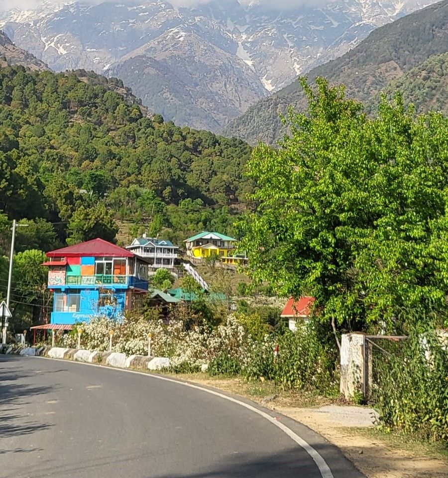 Dharamshala hotel review