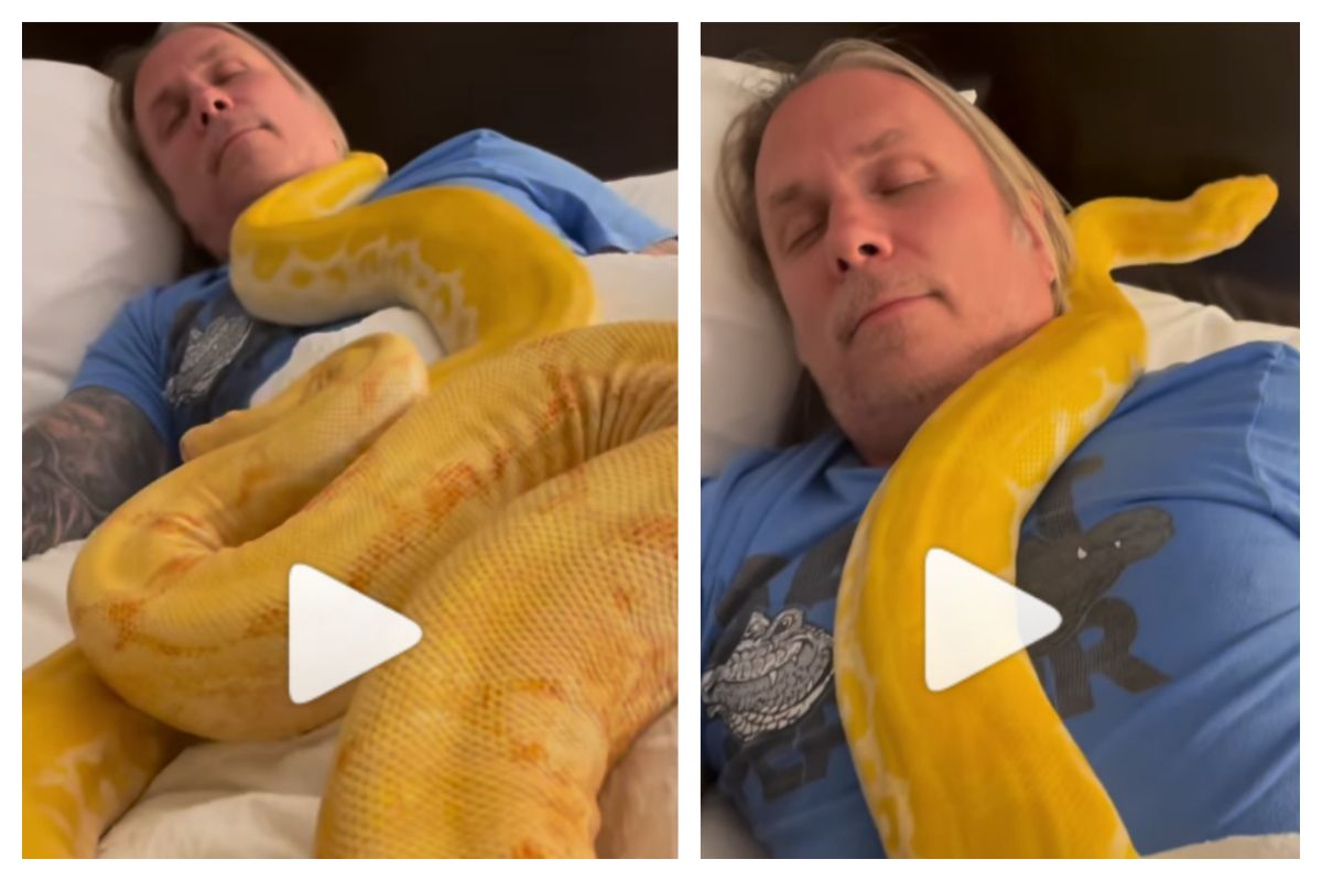 Man Seen Taking a Nap With 2 Burmese Pythons, People Can't Believe It