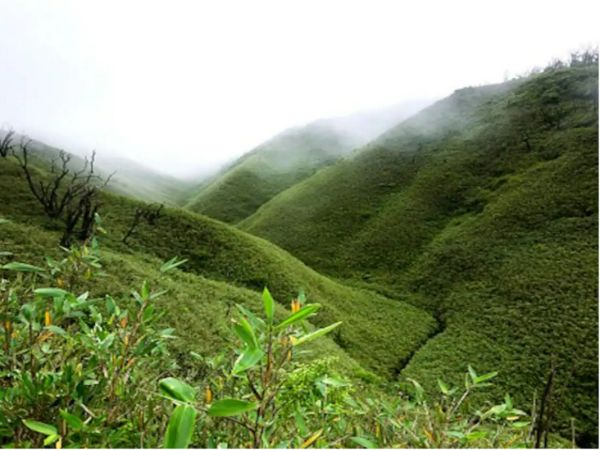 Dimapur, Nagaland
