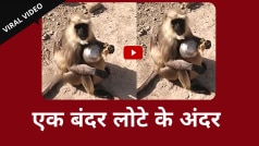 Funny Viral Video: लोटे में अटका बंदर के बच्चे का सिर, बाल-बाल बची बच्चे की जान | Watch