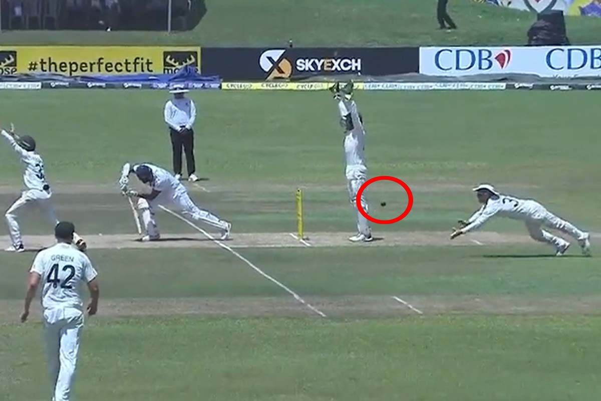 David Warner @ Twitter