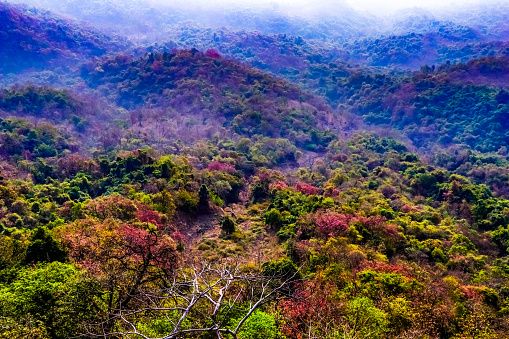 Karnala Bird Sanctuary: Mumbai to Goa Road Trip
