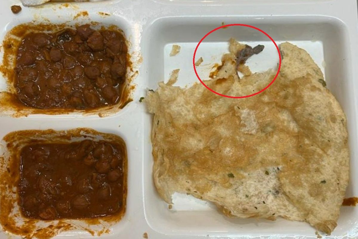 lizard-found-in-semi-conscious-state-in-chole-bhature-at-sagar-ratna-in