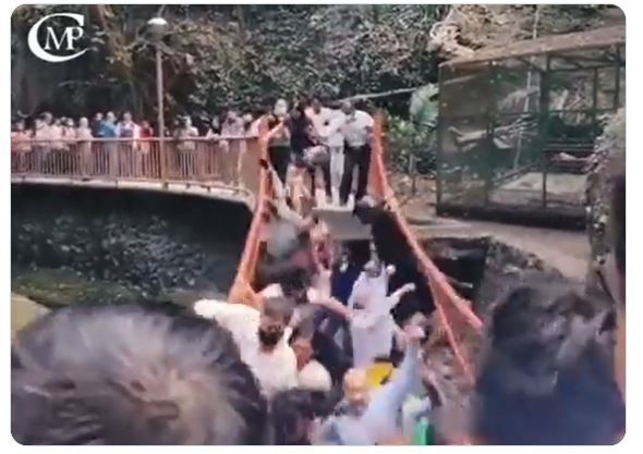 Viral Video: Footbridge in Mexico Collapses Just After Inauguration; Mayor, 20 Others Fall Into Ditch