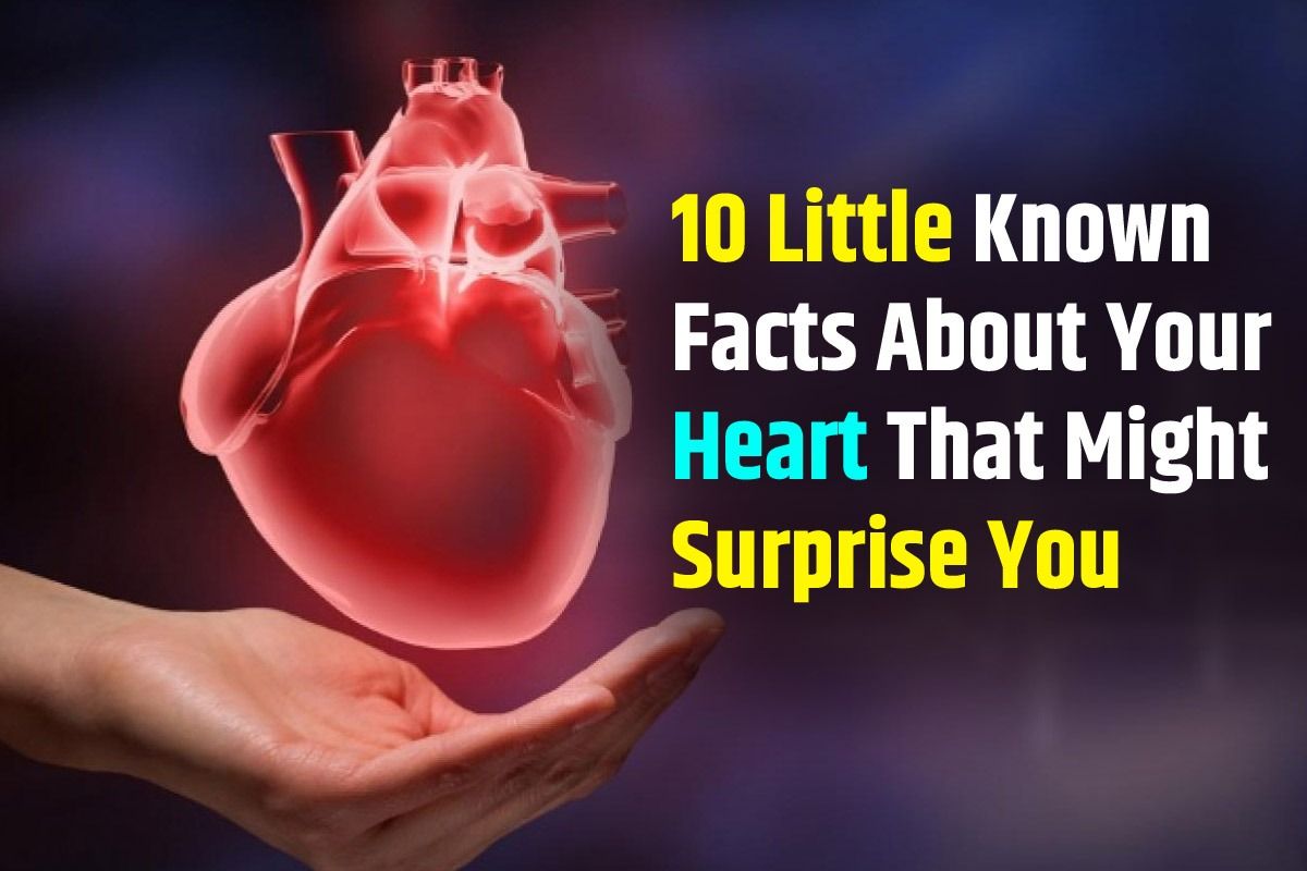 10 Little Known Facts About Your Heart That Might Surprise You