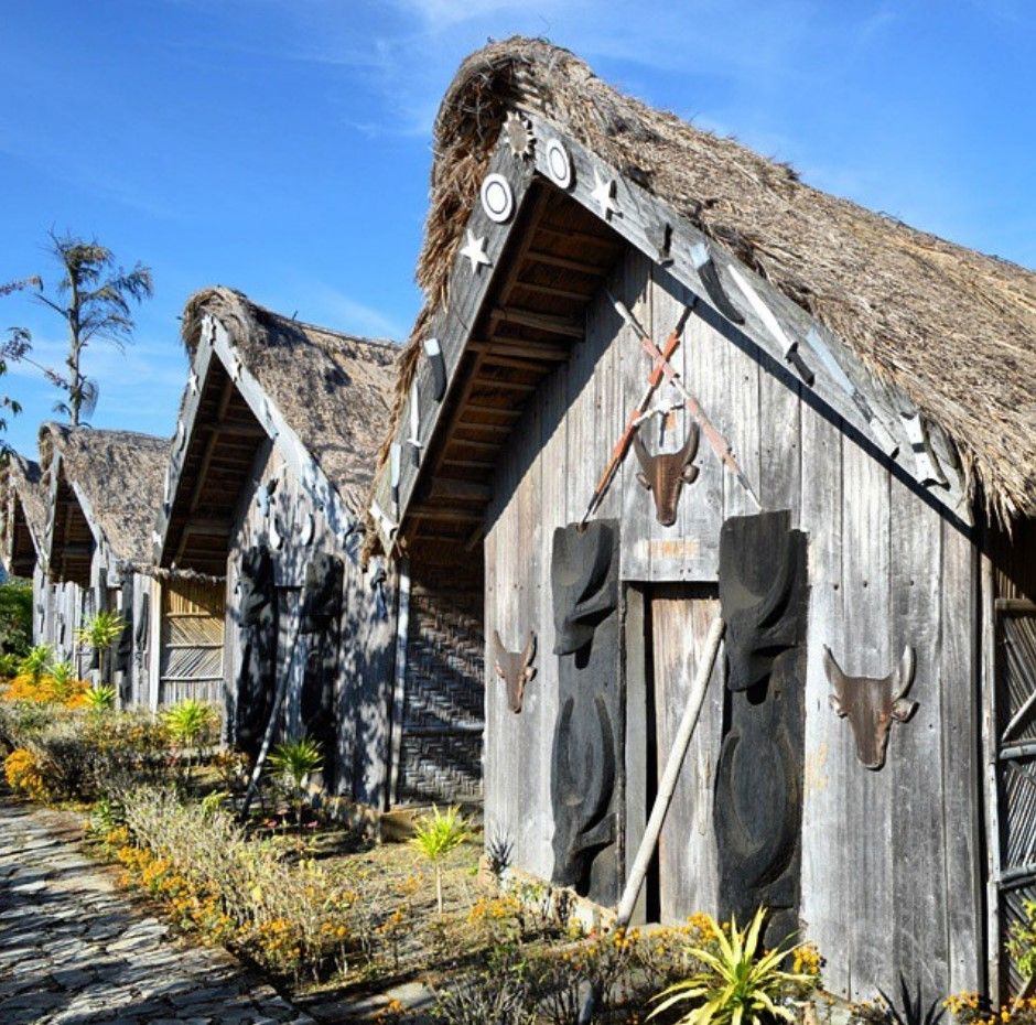 Tuophema Tourist Village, Nagaland, places in north east to visit this summer 