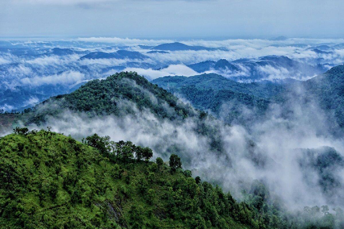 केरल में स्थित है यह खूबसूरत हिल स्टेशन, जानिए वायनाड में आप कहां-कहां घूम सकते हैं?