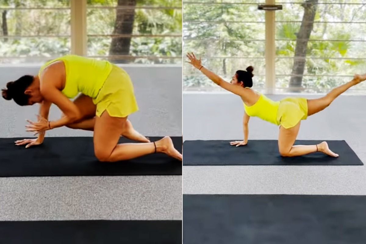 Learn the Tiger Pose - Vyaghrasana | Yoga - YouTube