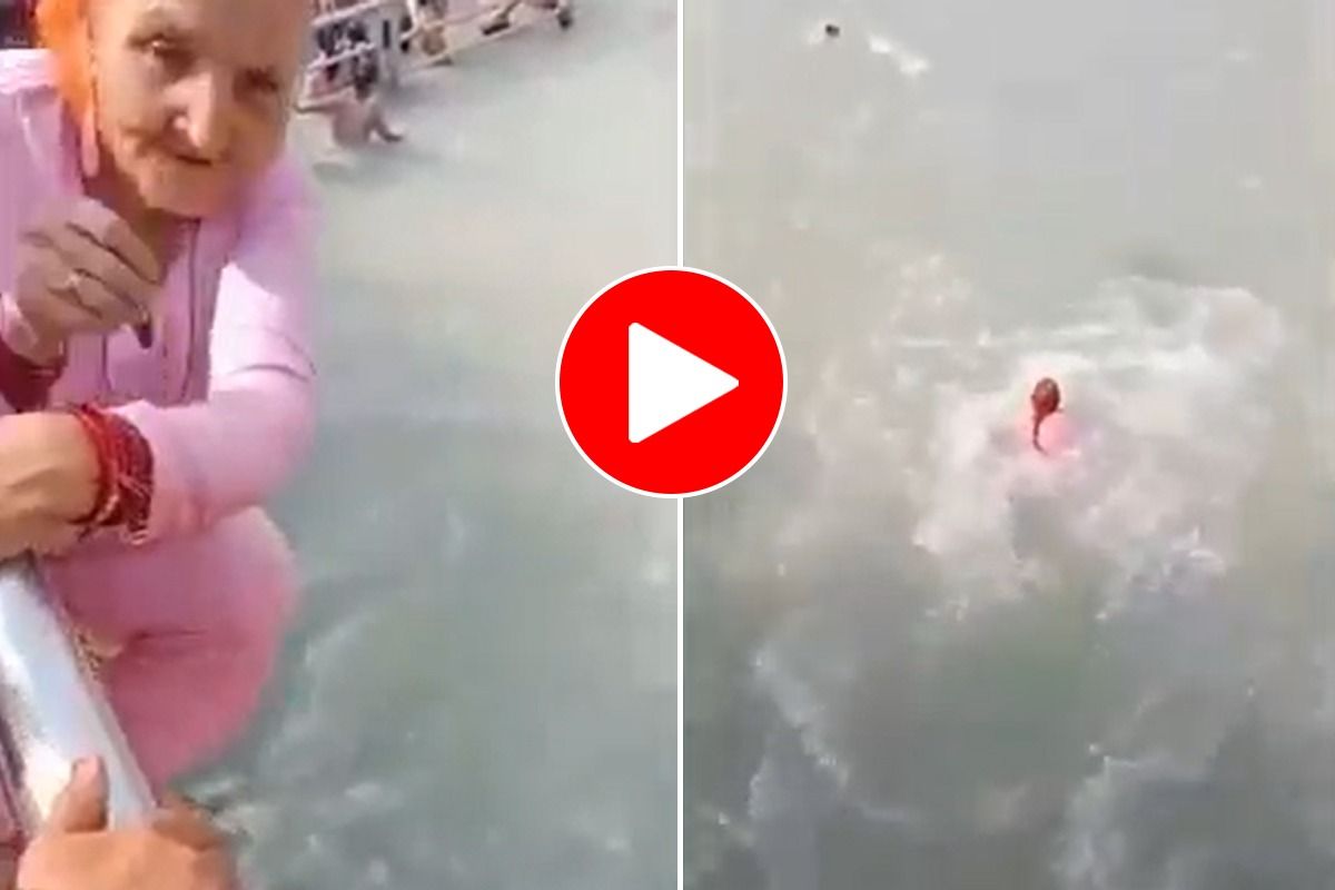 Viral Video Today