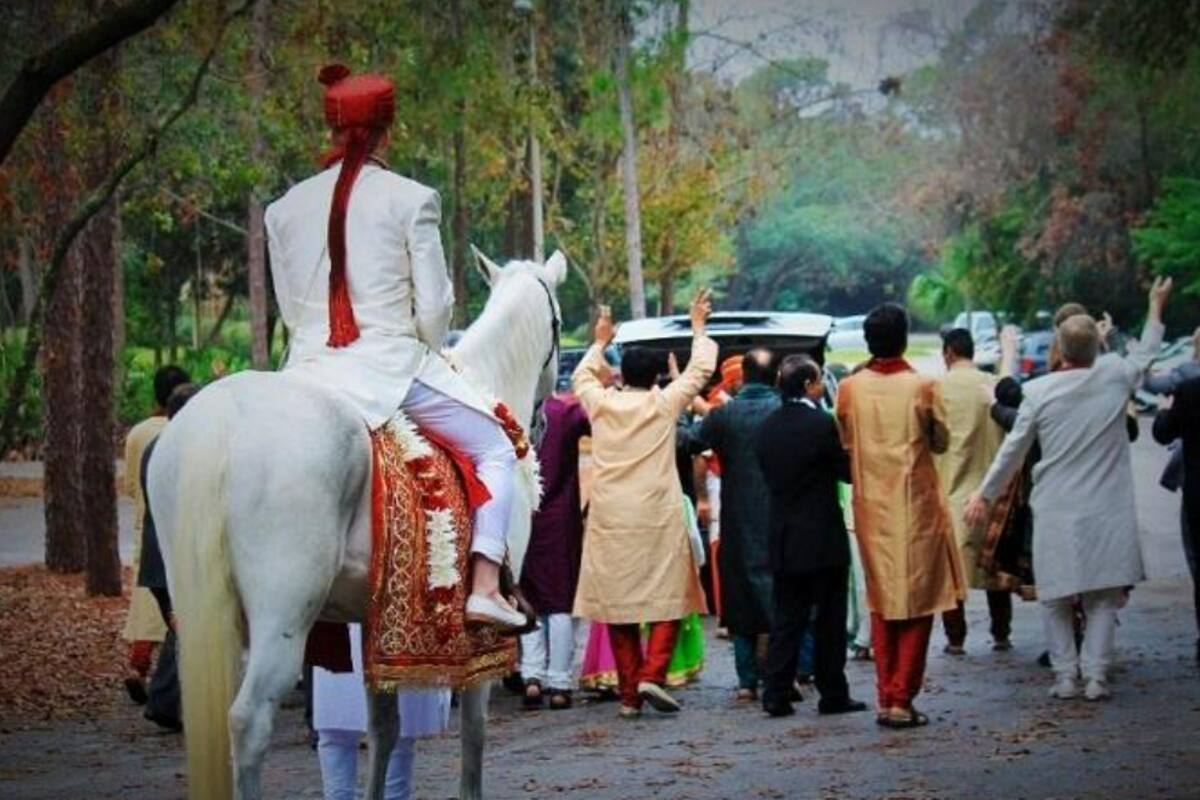 Elephants at Wedding in West Bengal: Bride and Groom Flee on Bike After Herd  of Jumbos Turns Up as 'Uninvited Guests' at Ceremony