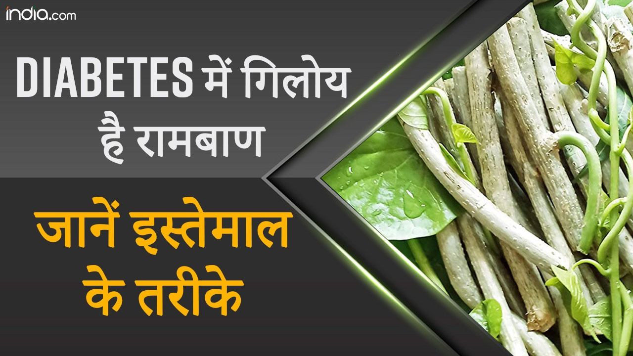 Giloy for Diabetes गिलोय से कंट्रोल होगी डायबिटीज, जानें चमत्कारी फ़ायदे Watch Video