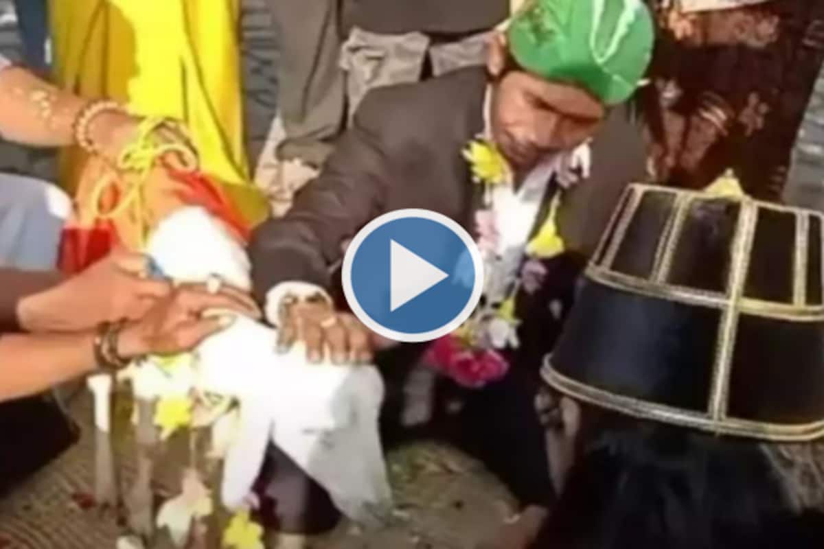 Viral Video: Indonesian Man Marries Female Goat With Intention of Going  Viral, Internet Appalled | Watch