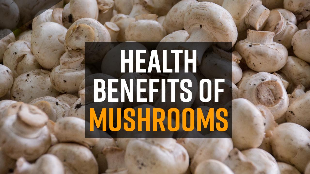 Health Benefits Of Mushrooms: Top 5 Reasons Why You Should Add Mushroom ...