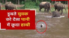 हाथी का वीडियो: इंसान को बचाने के लिए तेज बहाव में कूदा हाथी, जानवर और इंसान के बीच प्रेम की बेमिसाल पेशकश। देखें वीडियो