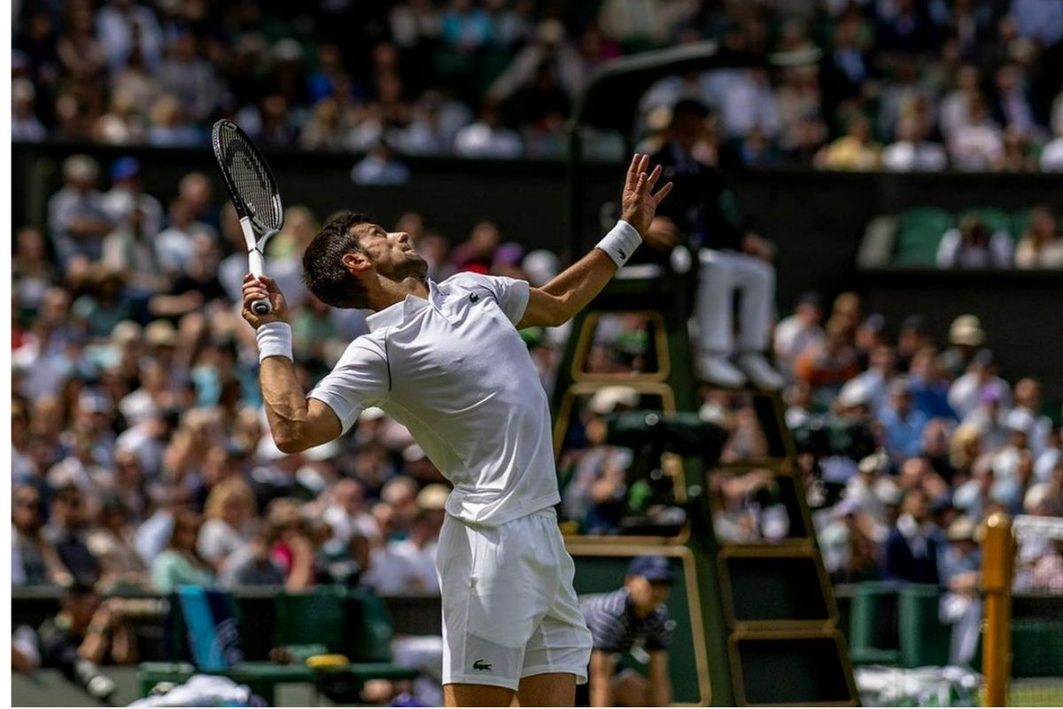 Wimbledon 2022 Novak Djokovic Breezes Through To Fourth Round Sports News Indiacom