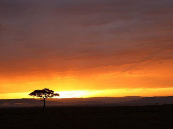 Masaai Mara in Kenya