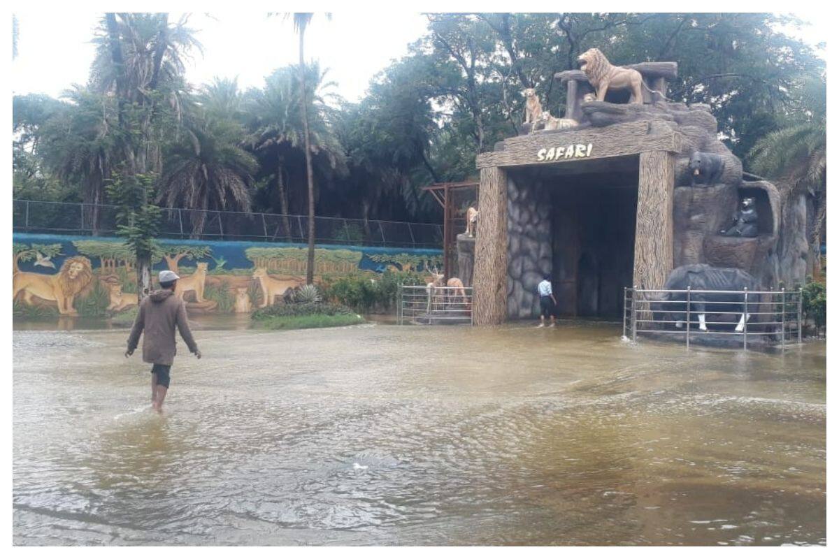 Safari Park At Hyderabad Zoo Flooded Following Heavy Rains, Animals In  Night Enclosures