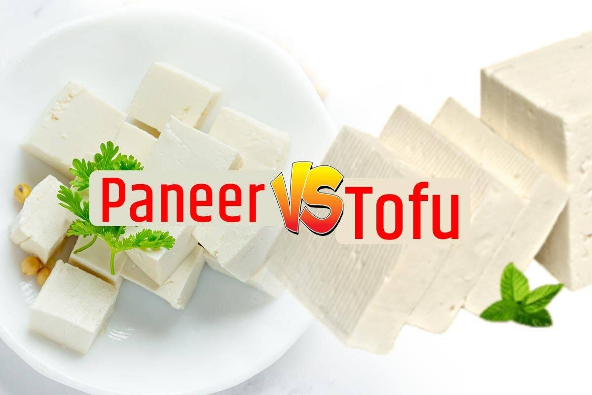 What Is The Difference Between Paneer And Soya Paneer In