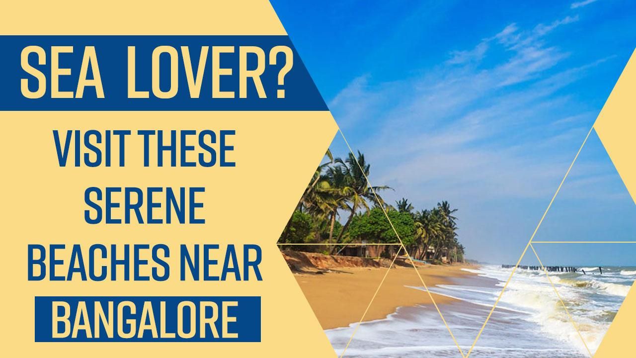 Best Beaches In Bangalore Beach Lover? Take A Trip To These