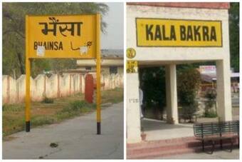 Bhainsa to Kala Bakra: 11 Places in India That Have Super Hilarious Names, Which is Your Favourite? Bhainsa to Kala Bakra: 11 Places in India That Have Super Hilarious Names, Which is Your Favourite?