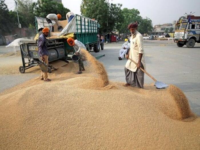 After Wheat Ban, India Now Curbs Exports Of Flour And Other Products. Here