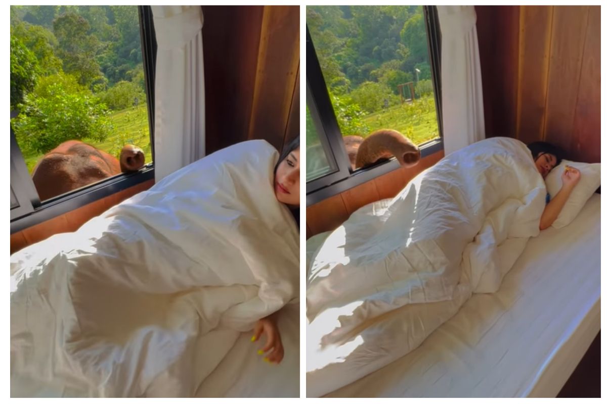 woman-gets-the-sweetest-surprise-as-she-is-woken-up-by-an-elephant-in