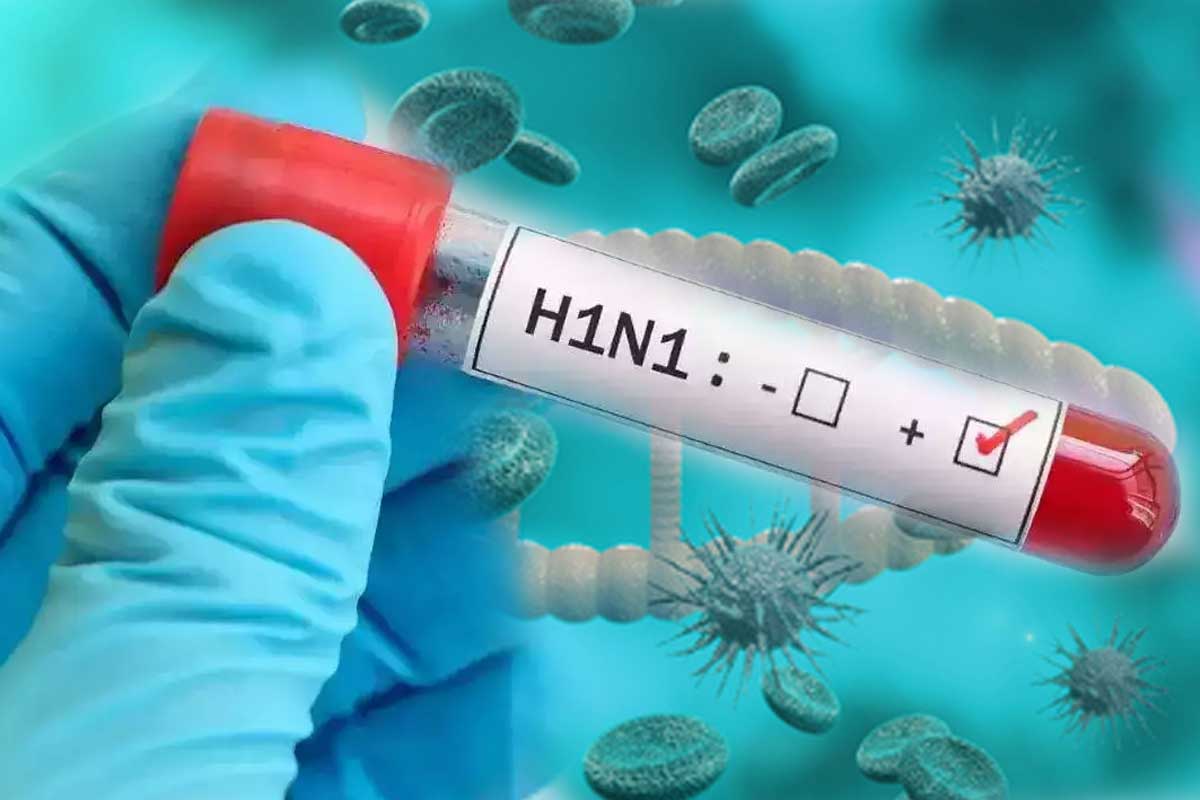 Jharkhand 3 Tested Positive For Swine Flu In Ranchi Hospital Had Symptoms Like COVID 19