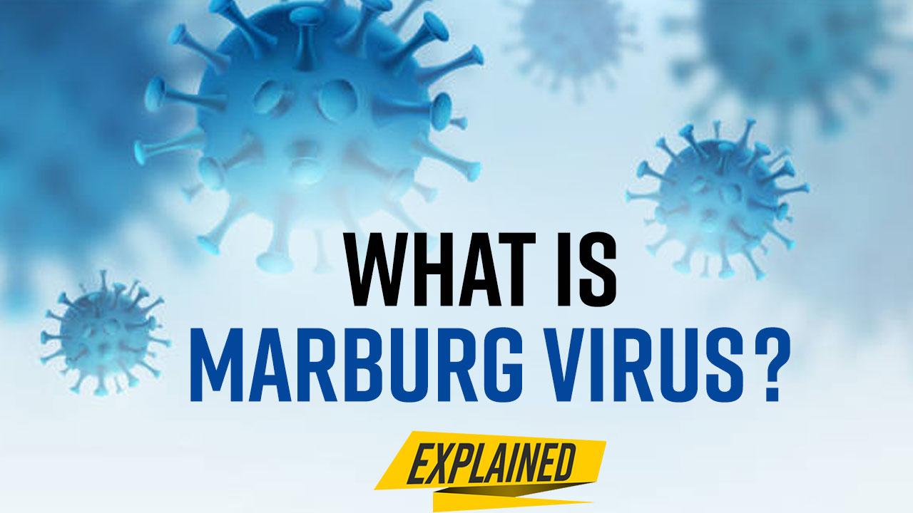 Marburg Virus What Is It? Symptoms, Treatment And Precautions, All You