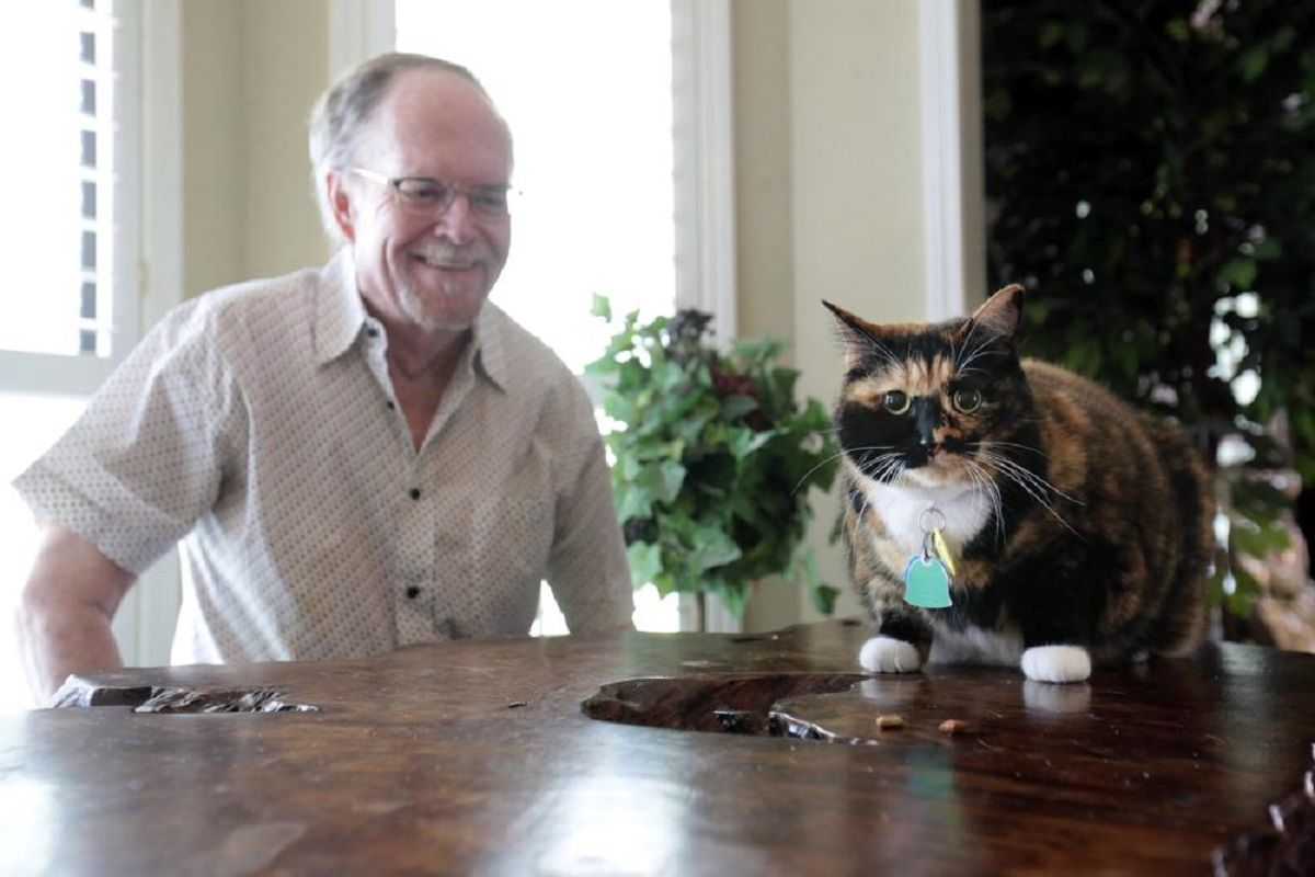 Guard Cat Wakes Up Owner, Helps Prevent Robbery At Home