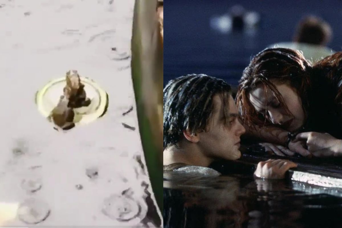 This Viral Video of Frog Drowning His Buddy Will Remind You Of Door Scene  From Titanic. Watch