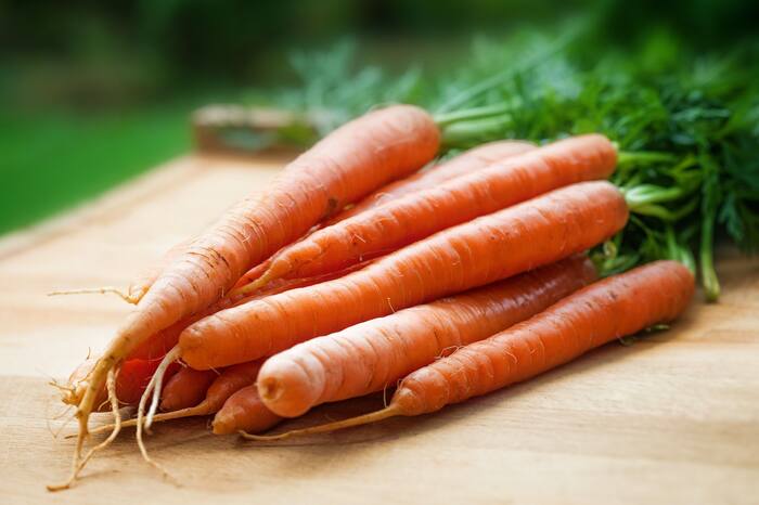 Carrot For Fatty Fish