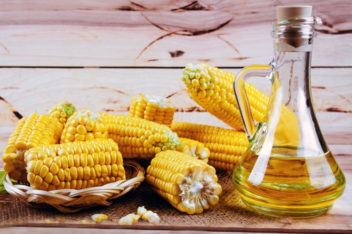 इन पांच तरह के तेलों को करें अपने दैनिक आहार में शामिल, कोलेस्ट्रॉल