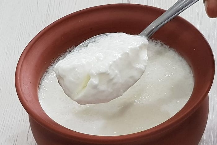 Curd For Fatty Fish