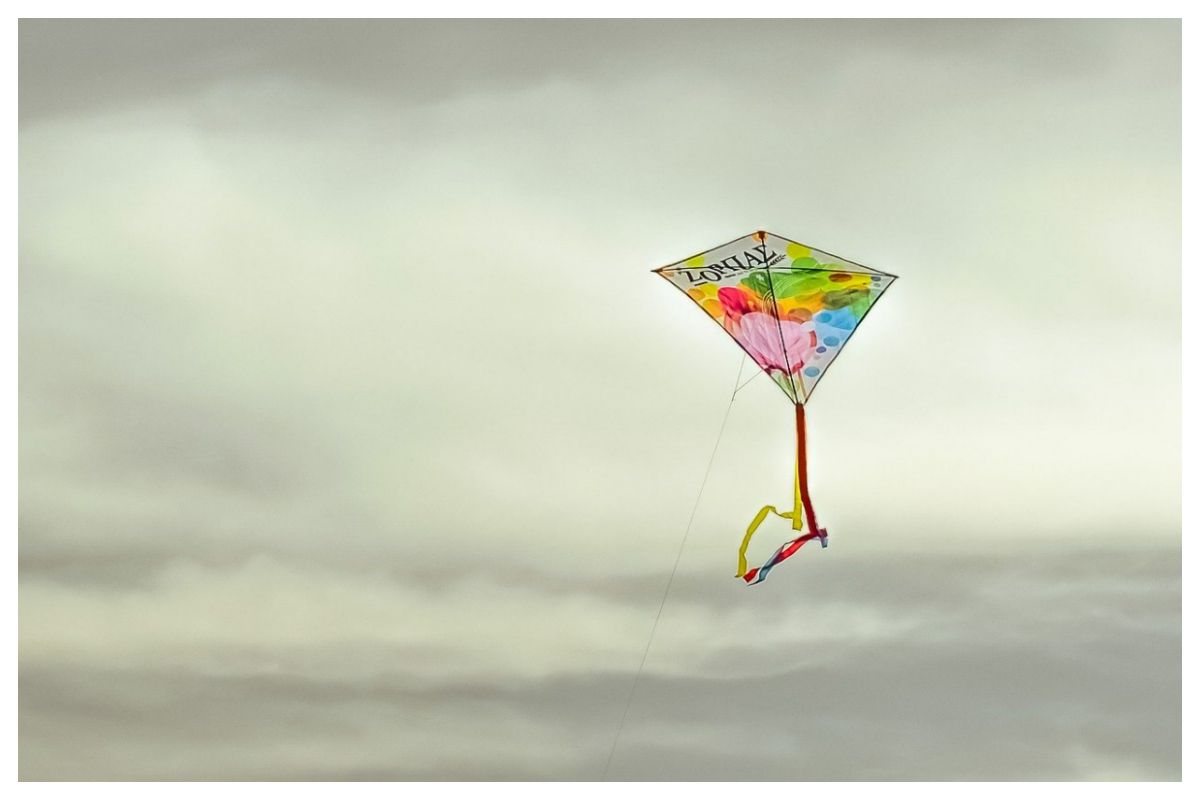 Complete Ban On Kite Flying Related Activities Chinese Manjha Pil Filed In Delhi High Court