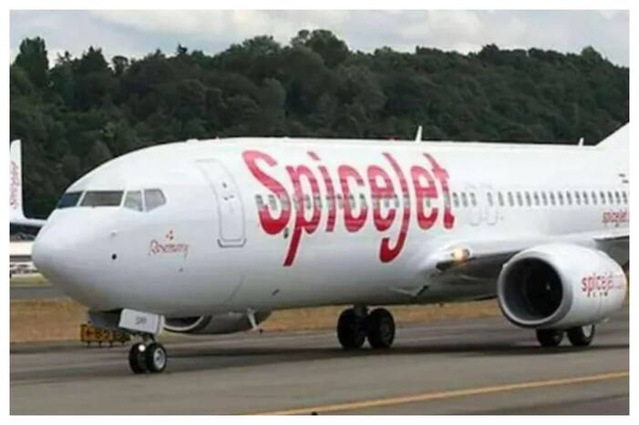 The pilot of the SpiceJet flight SG 3735 noticed smoke and alerted the Air Traffic Controller (ATC), which in turn alerted the ground staff.