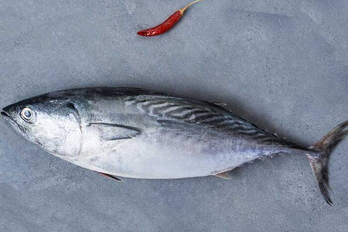 Fish for sharp brain